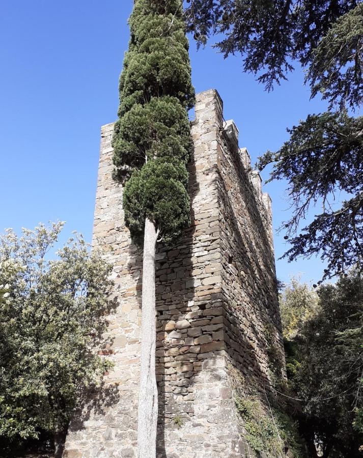 Castelvecchio B&B Montenero d'Orcia Extérieur photo